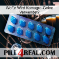 Wofür Wird Kamagra-Gelee Verwendetg viagra1